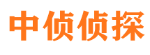 江洲市侦探公司